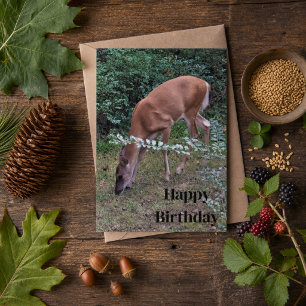 Whitetail Deer Grazing at Dusk Happy Birthday Karte