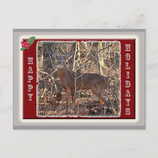 Whitetail Deer Happy Holidays Feiertagspostkarte (Vorderseite)