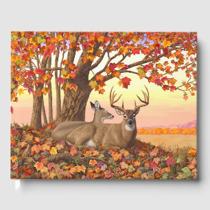 Whitetail Deer im Herbst Herbstfarben in New Engla Gästebuch