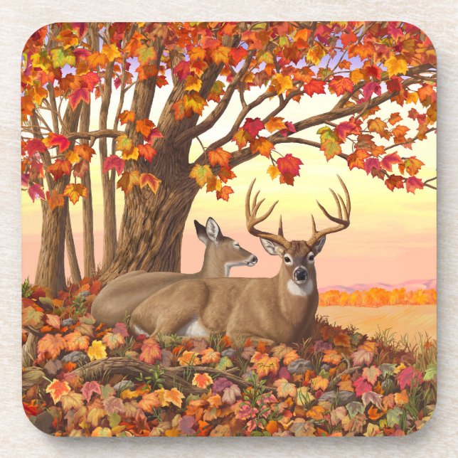 Whitetail Deer im Herbst Herbstfarben in New Engla Getränkeuntersetzer (Vorderseite)