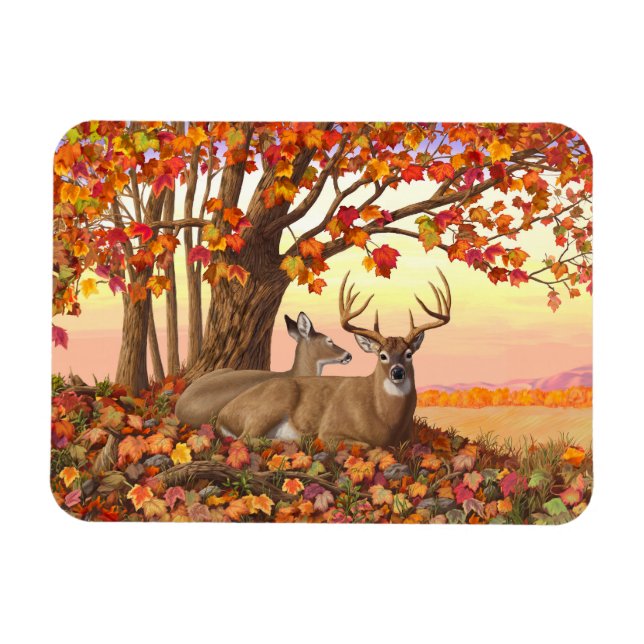 Whitetail Deer im Herbst Herbstfarben in New Engla Magnet (Horizontal)