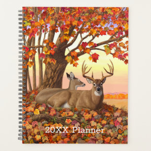 Whitetail Deer im Herbst Herbstfarben in New Engla Planer