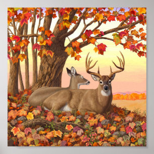 Whitetail Deer im Herbst Herbstfarben in New Engla Poster