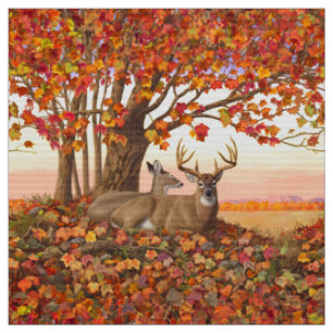 Whitetail Deer im Herbst Herbstfarben in New Engla Stoff