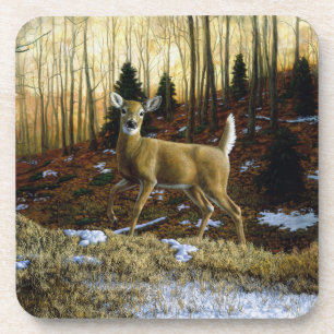 Whitetail Deer im Herbstwald Getränkeuntersetzer