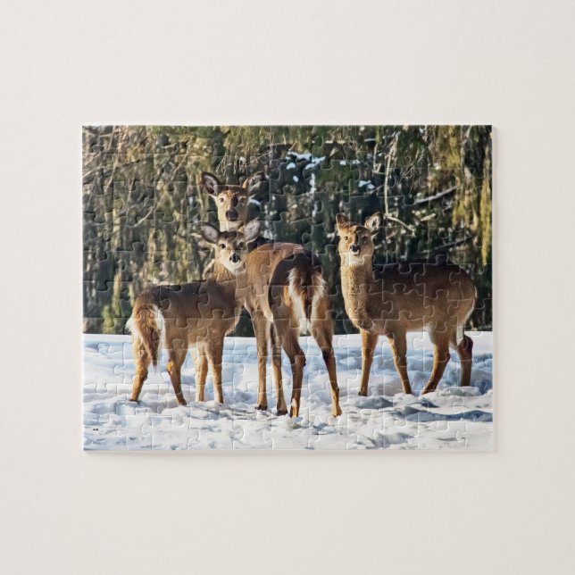 Whitetail Deer im Schnee Puzzle (Horizontal)