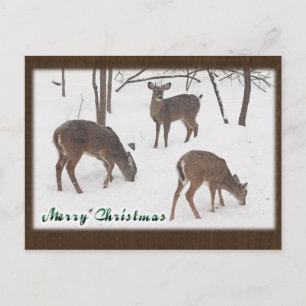 Whitetail Deer in Snowy Woods - Frohe Weihnachten