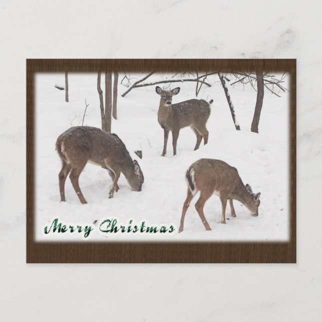 Whitetail Deer in Snowy Woods - Frohe Weihnachten (Vorderseite)