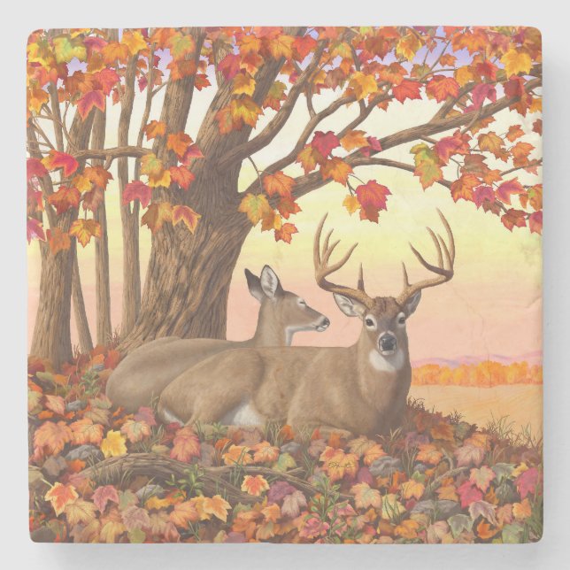 Whitetail Deer Maple Tree Herbst Orange Steinuntersetzer (Vorderseite)