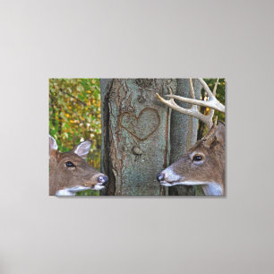 Whitetail Deer mit Herz auf Baum Leinwanddruck