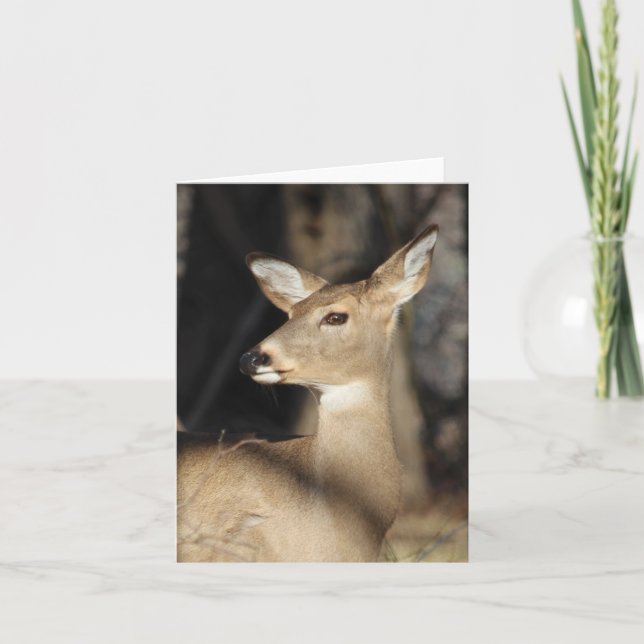 Whitetail Deer Notecard - Blank Inside Dankeskarte (Vorderseite)