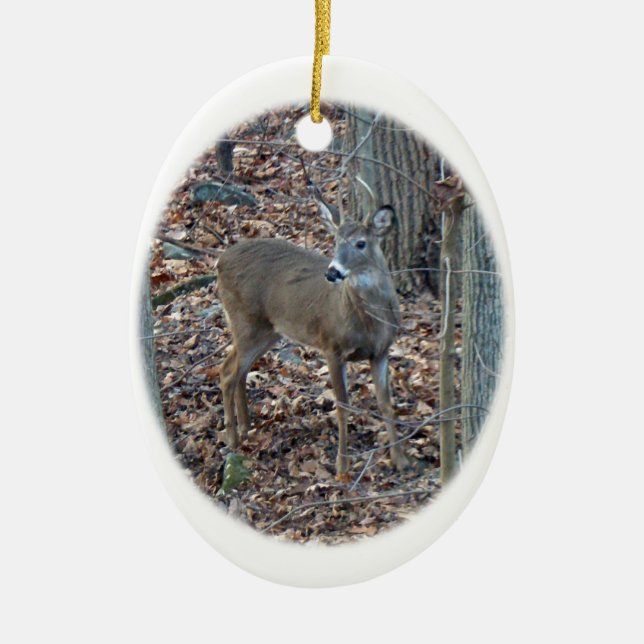 Whitetail Deer Spike Buck Christmas Ornament (Vorne)