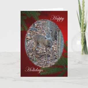 Whitetail Deer Spike Buck Happy Holidays Series Feiertagskarte