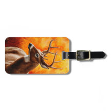 Whitetail Deer Trophy Buck Head