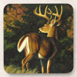 Whitetail Deer Trophy Buck Jagd Untersetzer