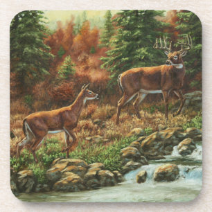 Whitetail Deer und Wasserfall Getränkeuntersetzer