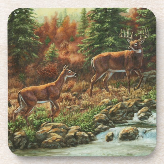Whitetail Deer und Wasserfall Getränkeuntersetzer (Vorderseite)