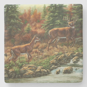Whitetail Deer und Wasserfall Steinuntersetzer