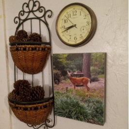 Whitetail Deer Wildlife / Nature Foto Künstlicher Leinwanddruck