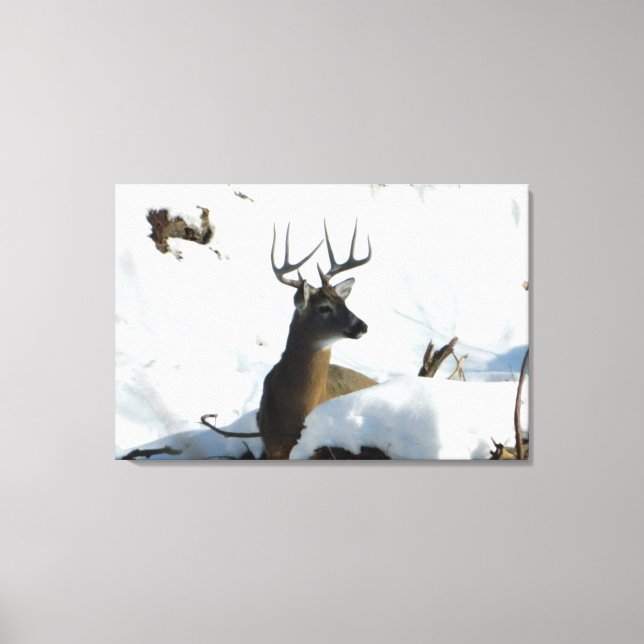 Whitetail Deer Winter Antlers Canvas Print Leinwanddruck (Vorderseite)
