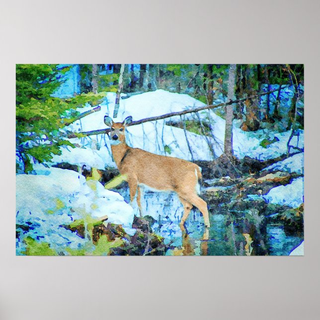 Whitetail Dez im Winter Schnee Wildlife Poster (Vorne)