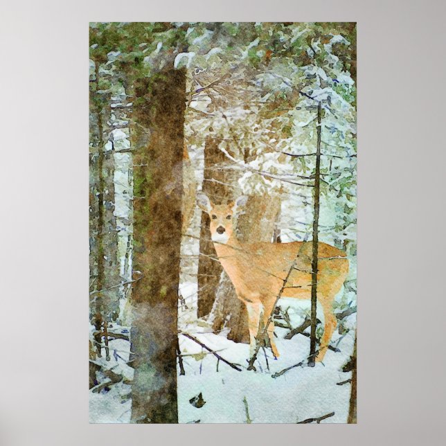 Whitetail Dez im Winter Schnee Wildlife Poster (Vorne)