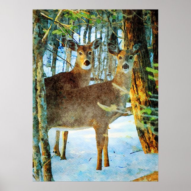 Whitetail Dez im Winter Schnee Wildlife Poster (Vorne)