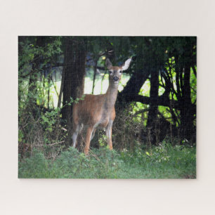 Whitetail Doe kommt aus dem Wald Puzzle