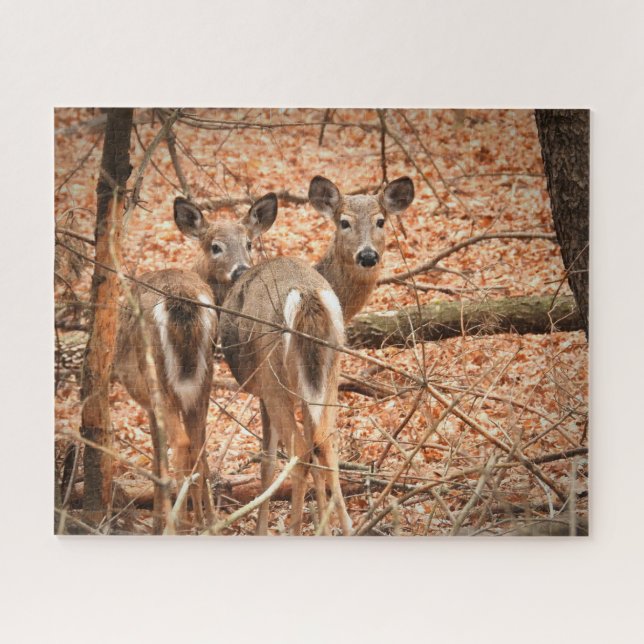 Whitetail Doe und ihr Vater im Herbstwald Puzzle (Horizontal)