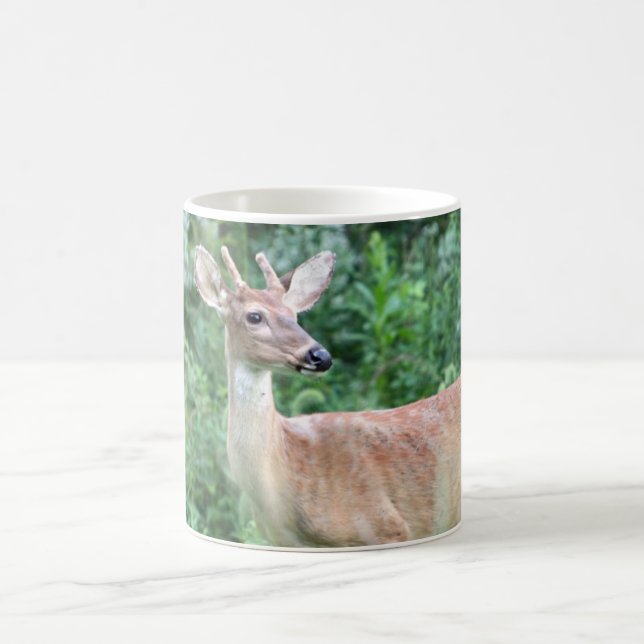 Whitetail-Dollar Kaffeetasse (Mittel)