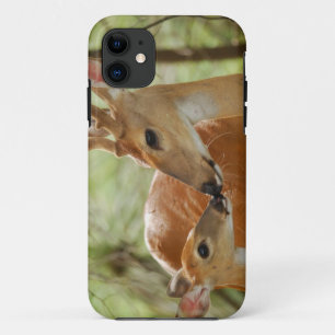 Whitetail-Dollar-und Kitz-Abbinden Case-Mate iPhone Hülle