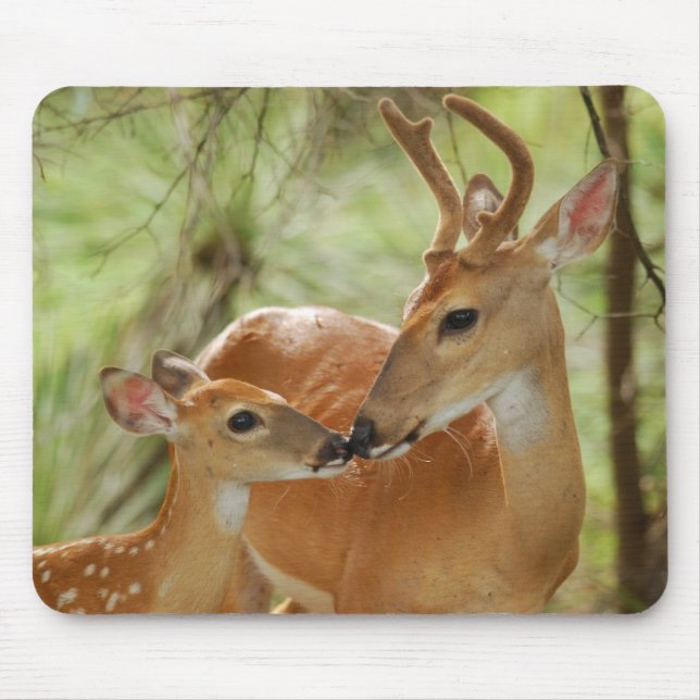 Whitetail-Dollar-und Kitz-Abbinden Mousepad (Vorne)