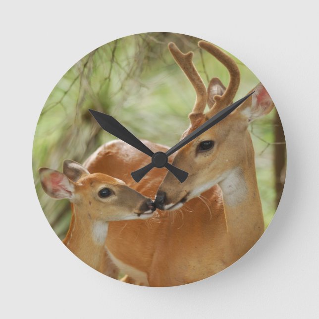 Whitetail-Dollar-und Kitz-Abbinden Runde Wanduhr (Vorderseite)