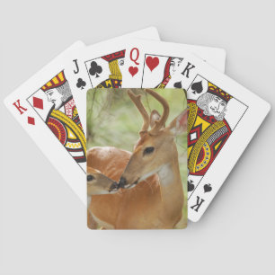 Whitetail-Dollar-und Kitz-Abbinden Spielkarten