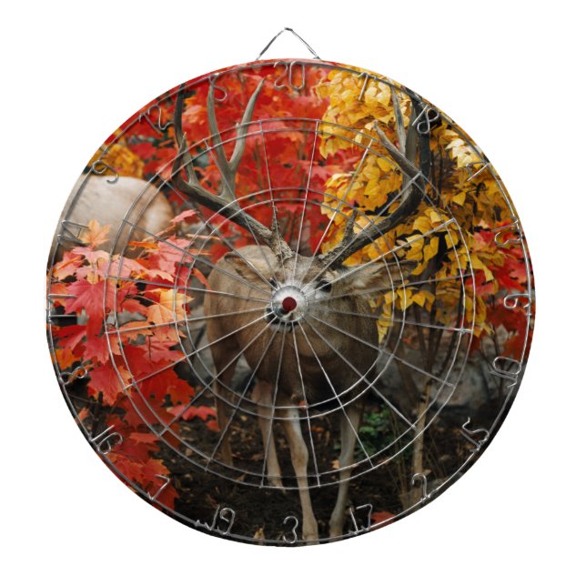 Whitetail im Herbst Dartscheibe (vorne)