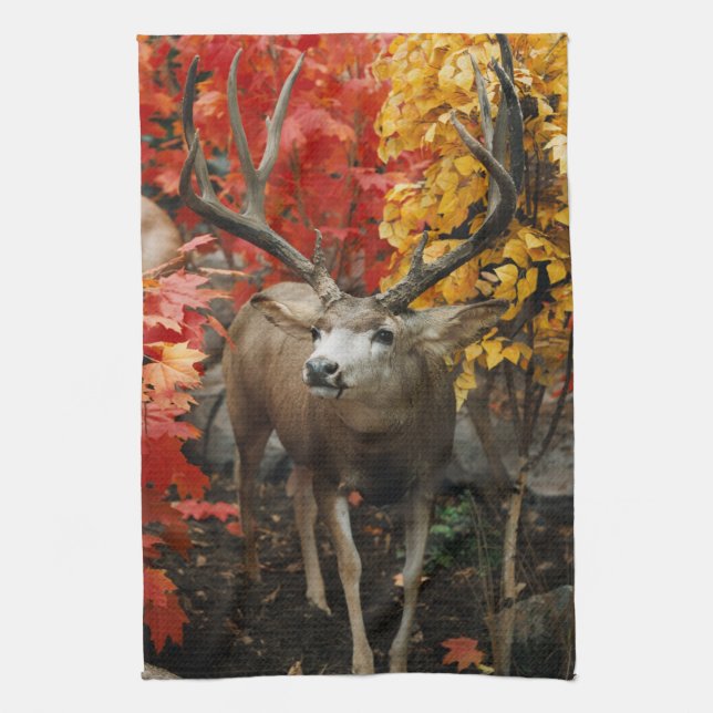 Whitetail im Herbst Handtuch (Vertikal)