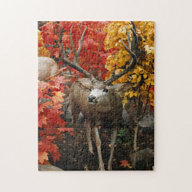 Whitetail im Herbst Puzzle (Vertikal)
