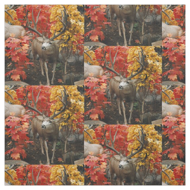 Whitetail im Herbst Stoff (Muster)