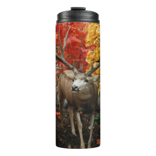 Whitetail im Herbst Thermosbecher