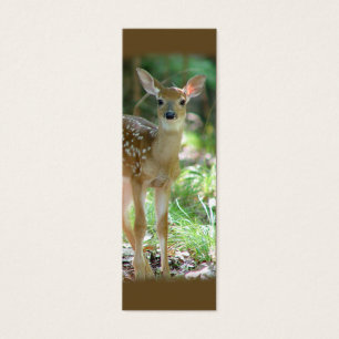 Whitetail-Rotwild-Kitz-MiniLesezeichen/