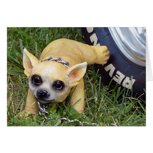 Whiz Kid (Vorderseite (Horizontal))
