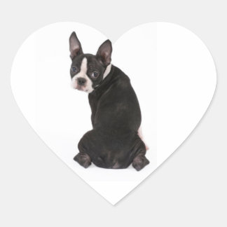 Who Me Boston Terrier Docker Herz-Aufkleber