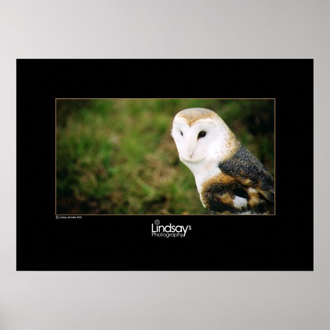 Whooie Poster (Vorne)