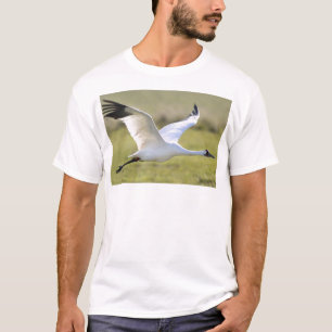 Whooping Kran (Grus Americana) T-Shirt