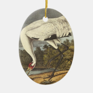 Whooping Kran, John Audubon Keramikornament