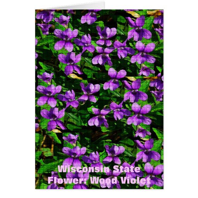 WI Staat Blume Wood Violet Mosaik Muster (Vorne)