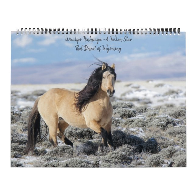 Wicahpi Hinhpaya - Ein gefallener Stern: Kalender  (Titelbild)