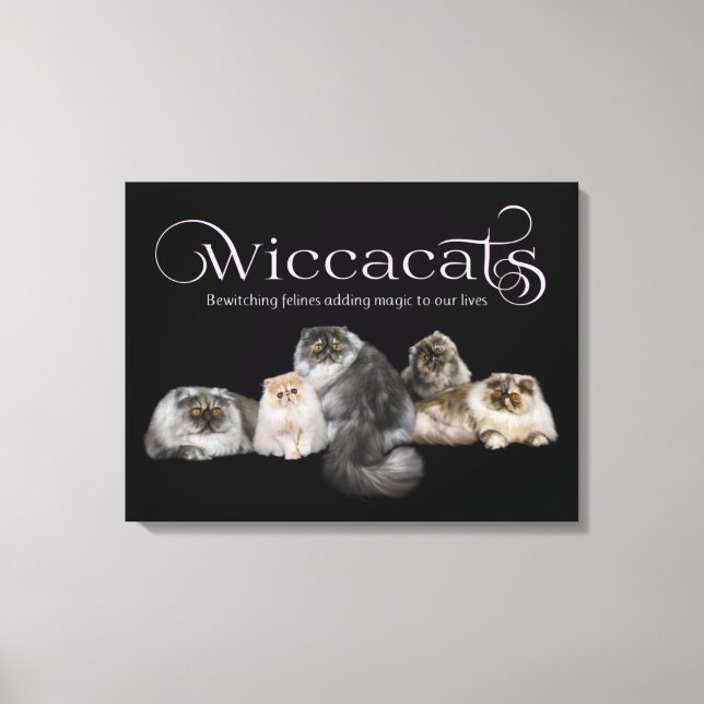 WiccaCats Art Leinwand (Vorderseite)