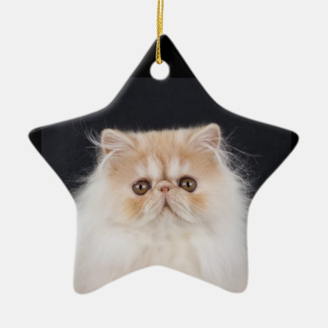 WiccaCats Meira Sternschmuck Keramik Ornament