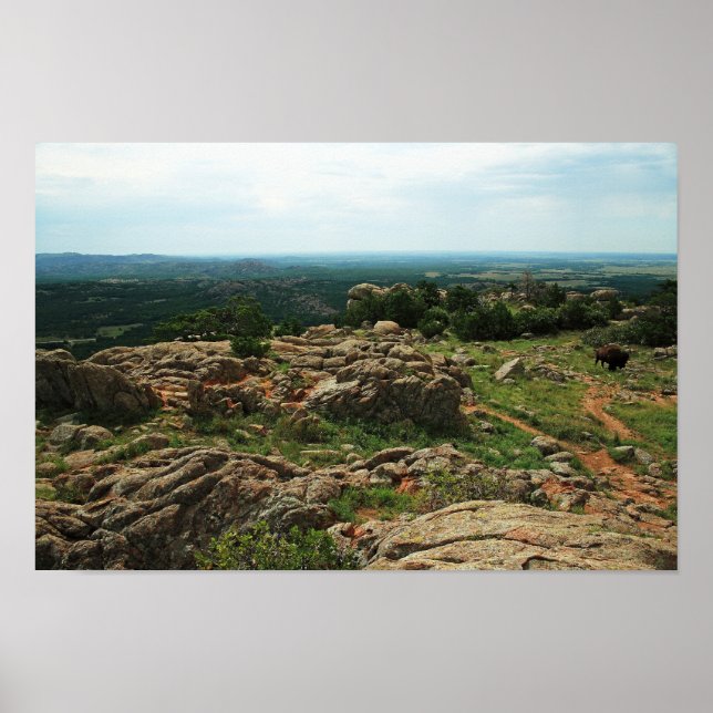Wichita Mountains Vista mit American Bison Poster (Vorne)
